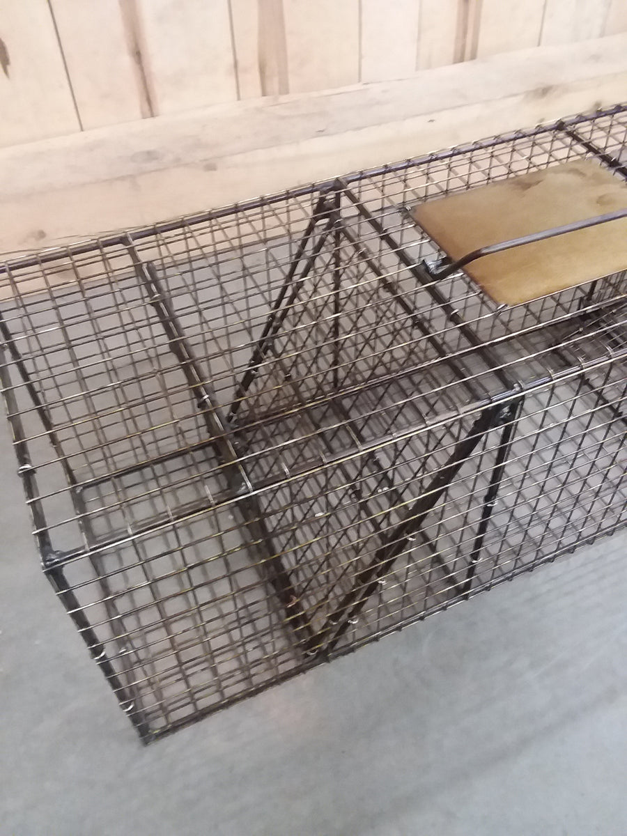 HD Live Trap (call for shipping rates on this product) – Trapper Art's  Supply